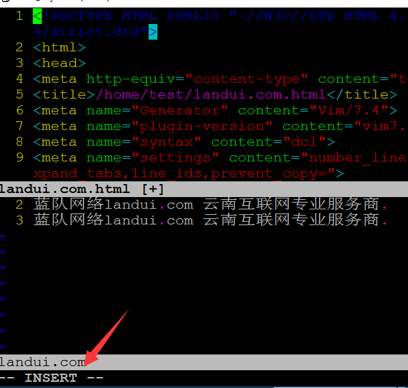 Vim %TOhtml 将文档转为为HTML文件